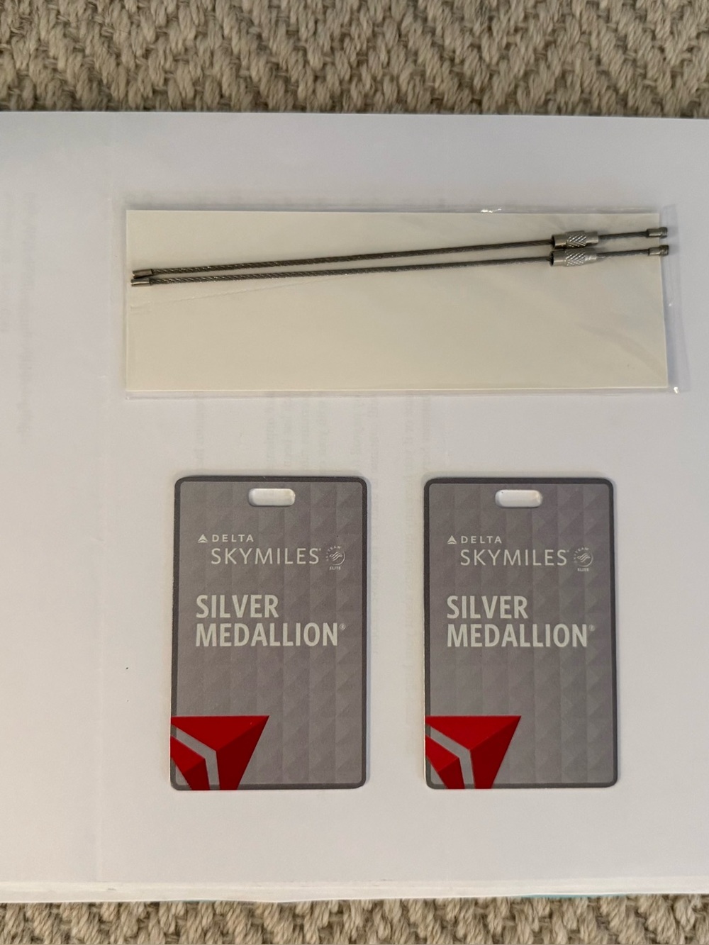 Delta Silver Medallion Bag Tags (2)